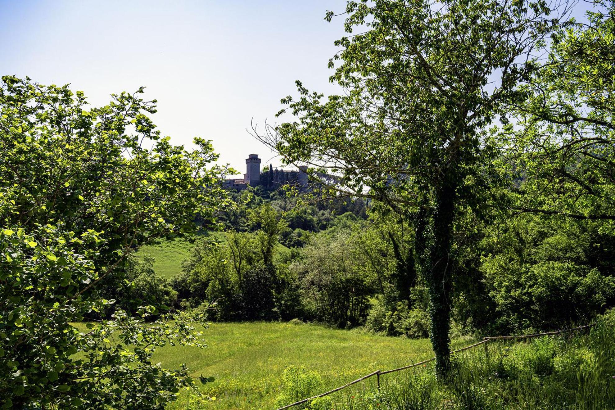 Villa Piano Del Mulino Orvieto Esterno foto